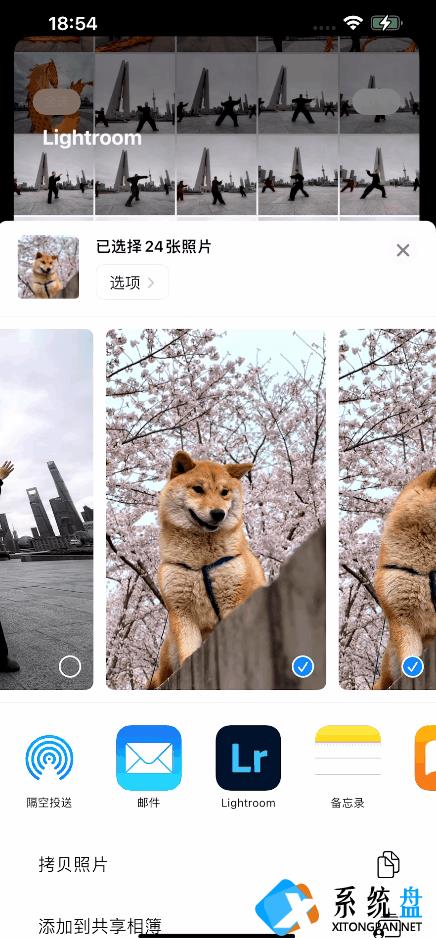 为什么摄影师都喜欢用iPhone 拍照？