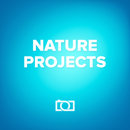 NATURE projectsv1.18.02839 免费版