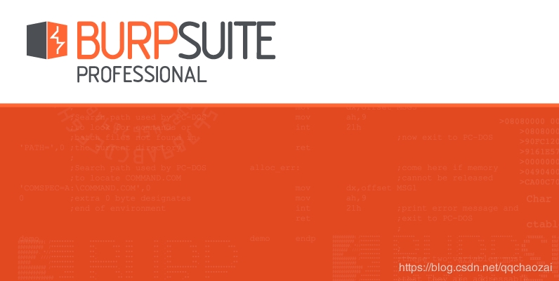 burpsuite pro中文破解版