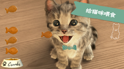 little kitten我最喜爱的猫猫iOS版v1.7 iPhone最新版